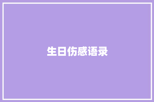生日伤感语录