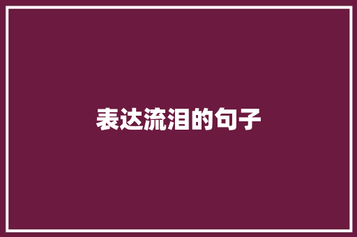 表达流泪的句子