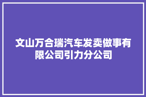 文山万合瑞汽车发卖做事有限公司引力分公司 汽车知识