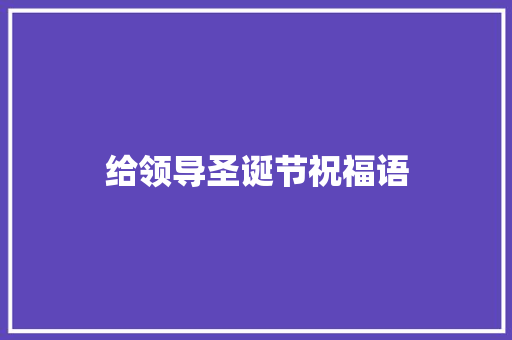 给领导圣诞节祝福语