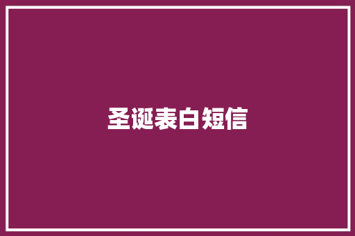 圣诞表白短信