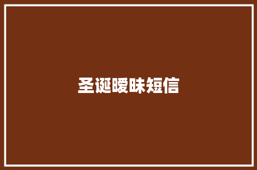 圣诞暧昧短信