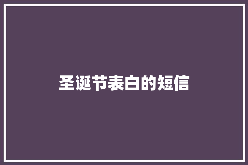 圣诞节表白的短信