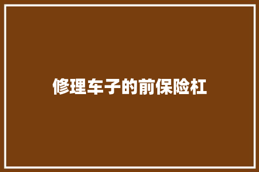 修理车子的前保险杠 汽车知识