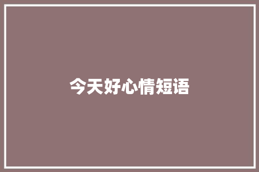 今天好心情短语