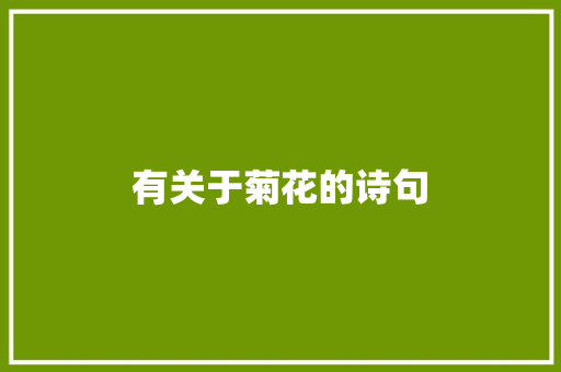 有关于菊花的诗句