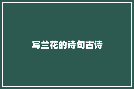 写兰花的诗句古诗