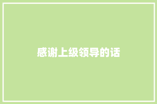 感谢上级领导的话
