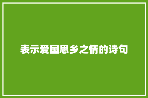 表示爱国思乡之情的诗句