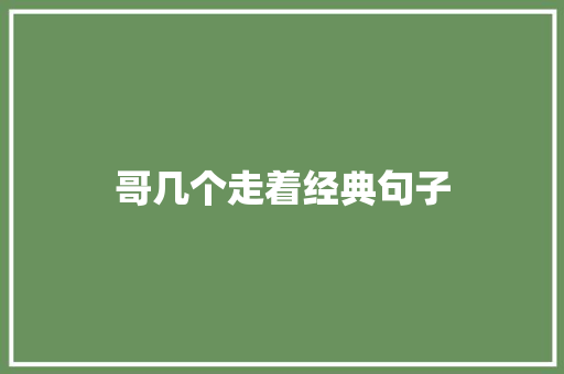 哥几个走着经典句子