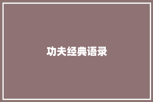 功夫经典语录 知识百科
