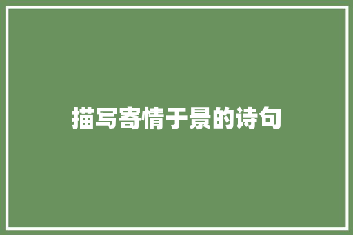 描写寄情于景的诗句