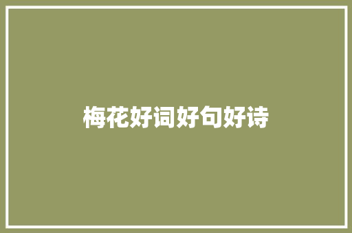 梅花好词好句好诗
