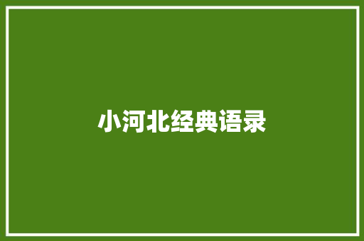 小河北经典语录