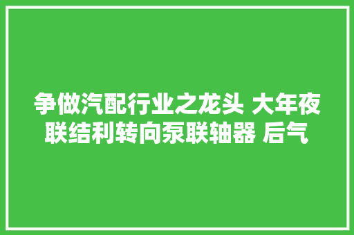 争做汽配行业之龙头 大年夜联结利转向泵联轴器 后气囊总成供应商