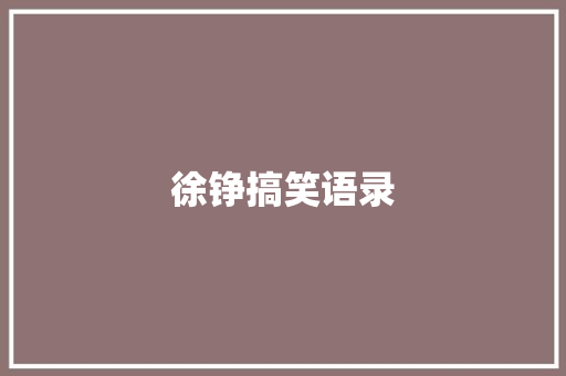 徐铮搞笑语录