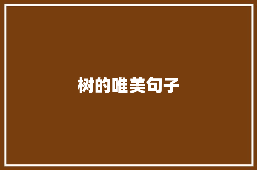 树的唯美句子