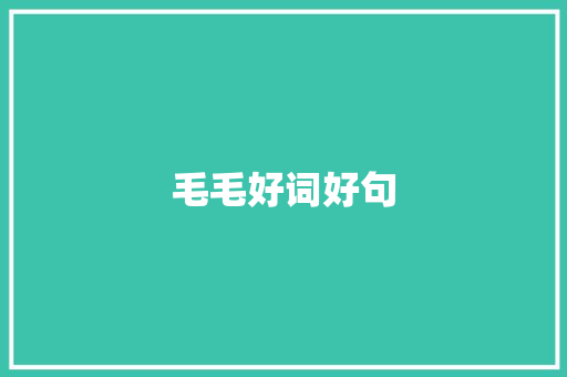 毛毛好词好句