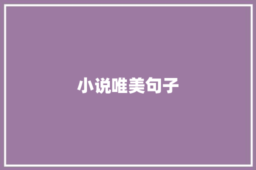 小说唯美句子