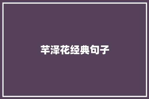 芊泽花经典句子