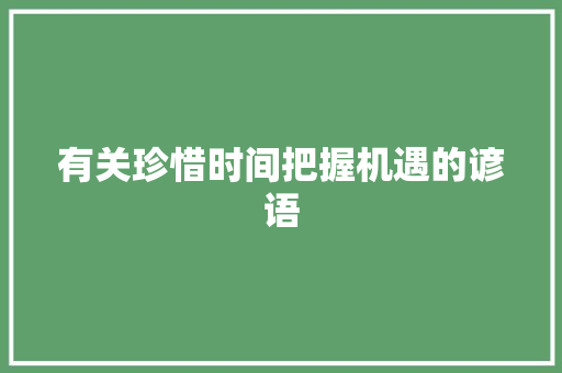 有关珍惜时间把握机遇的谚语