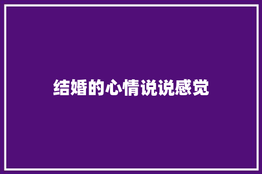 结婚的心情说说感觉