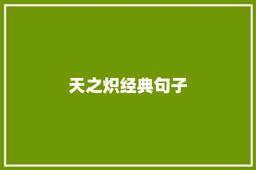 天之炽经典句子