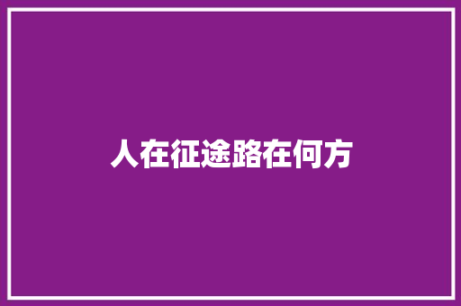 人在征途路在何方