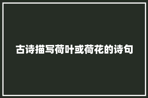 古诗描写荷叶或荷花的诗句