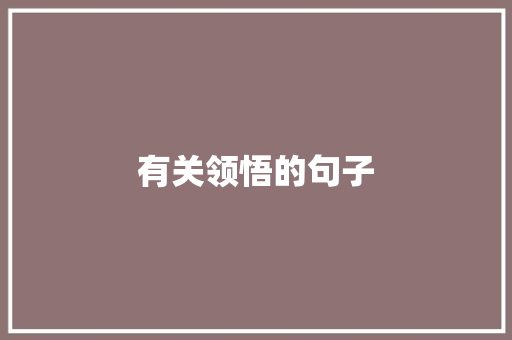 有关领悟的句子