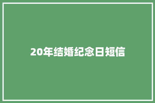 20年结婚纪念日短信