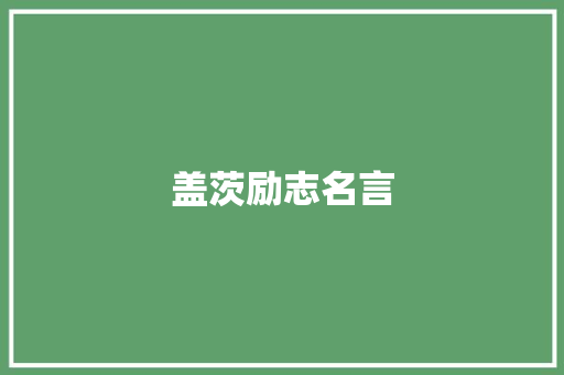 盖茨励志名言