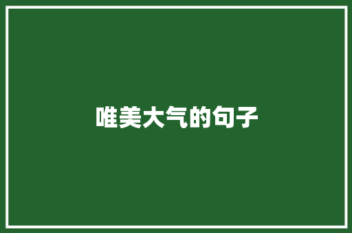 唯美大气的句子