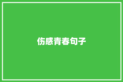 伤感青春句子