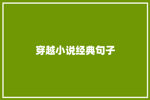 穿越小说经典句子 知识百科