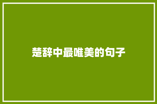 楚辞中最唯美的句子
