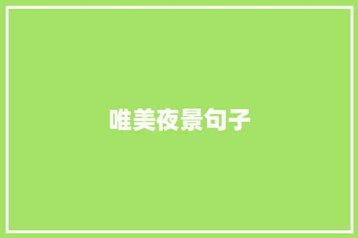 唯美夜景句子