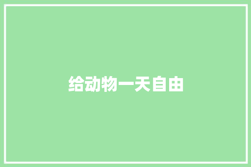 给动物一天自由