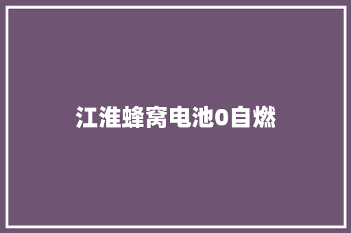 江淮蜂窝电池0自燃 汽车知识