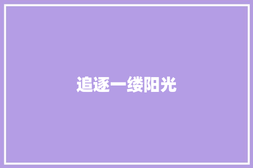 追逐一缕阳光