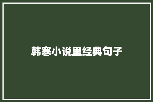 韩寒小说里经典句子