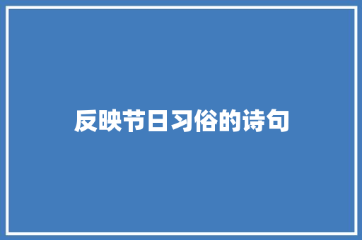 反映节日习俗的诗句