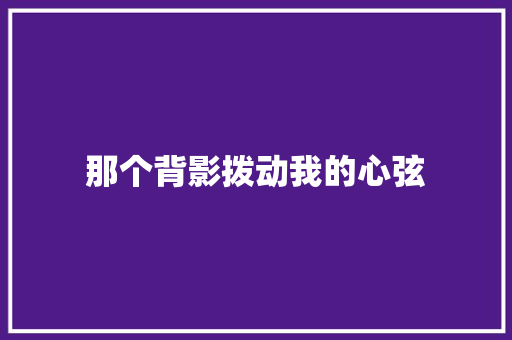 那个背影拨动我的心弦