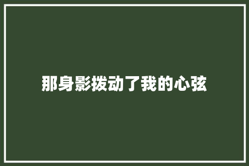 那身影拨动了我的心弦