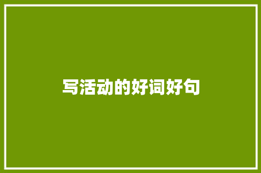 写活动的好词好句