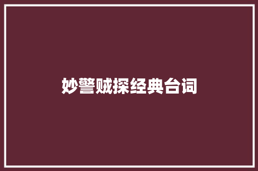 妙警贼探经典台词