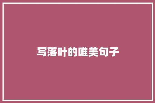 写落叶的唯美句子