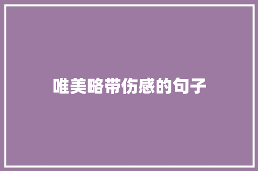 唯美略带伤感的句子