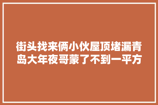 街头找来俩小伙屋顶堵漏青岛大年夜哥蒙了不到一平方米收了6500块钱 汽车知识