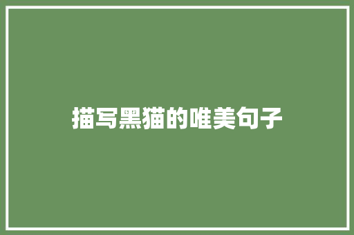 描写黑猫的唯美句子